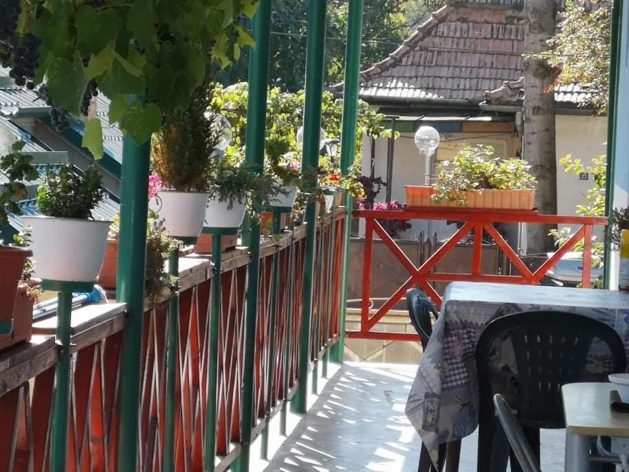 فندق Casa Vinco Vici توردا المظهر الخارجي الصورة